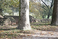 Img 028